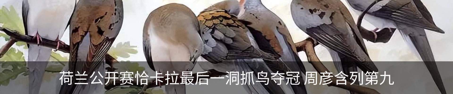 资讯动态
